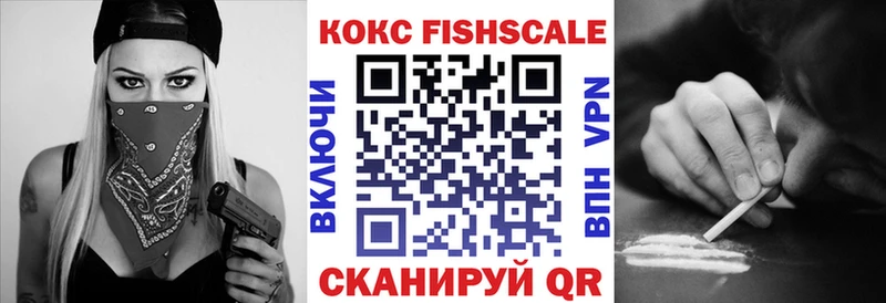 где купить наркоту  ссылка на мегу зеркало  Cocaine Fish Scale  Липецк 
