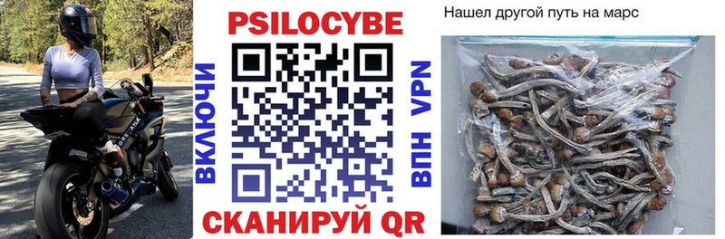 Псилоцибиновые грибы GOLDEN TEACHER что такое наркотик Липецк